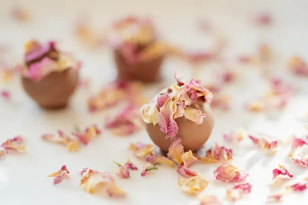 Kazino Vegas Spins Android/iOS programa